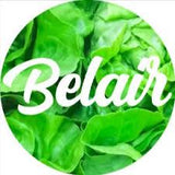 Pub Quiz for Cape Town 5